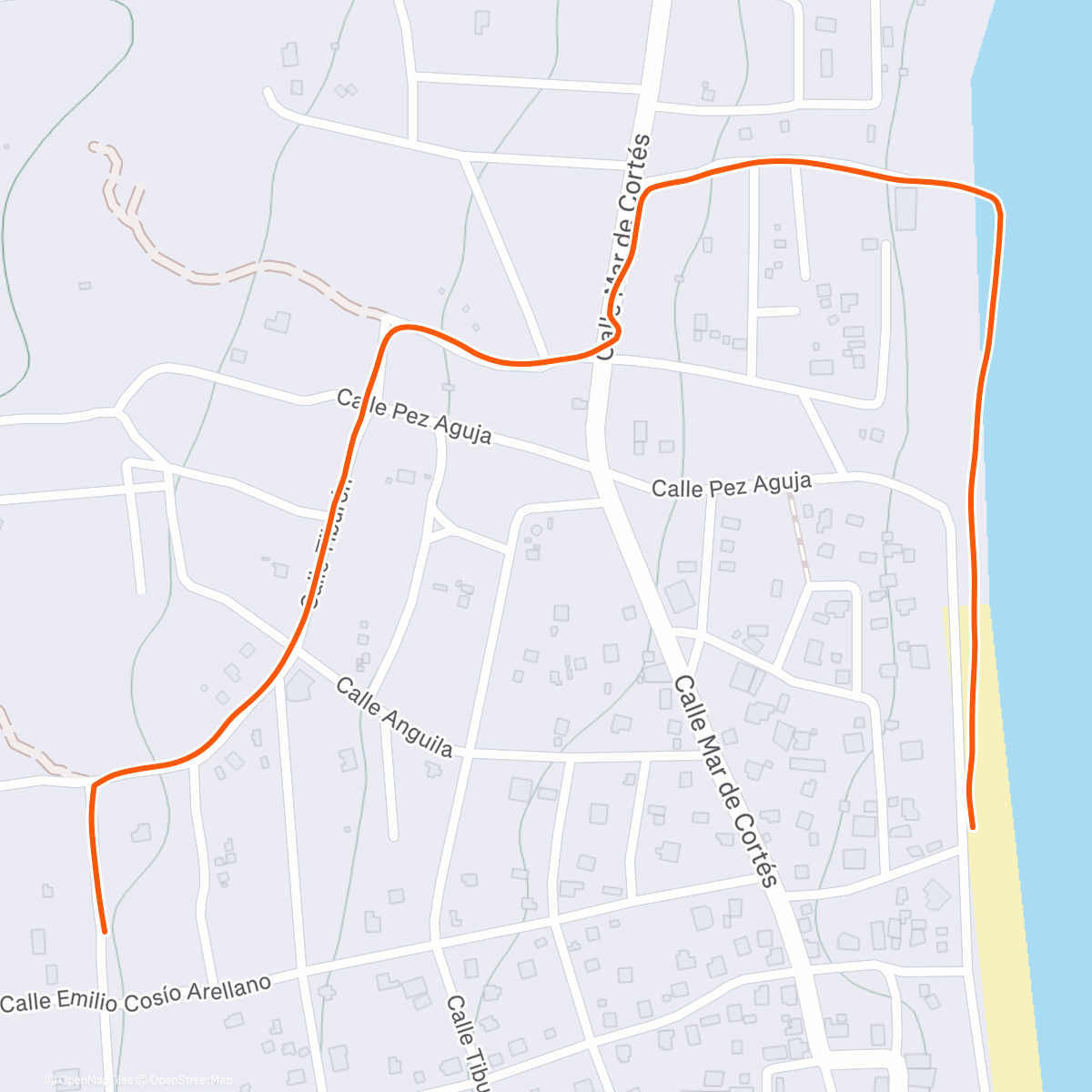 Карта физической активности (Sunrise coffee walkies)