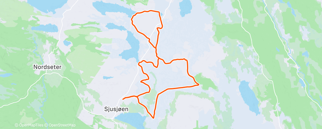 Карта физической активности (Skate m/Elise👯‍♀️❤️)