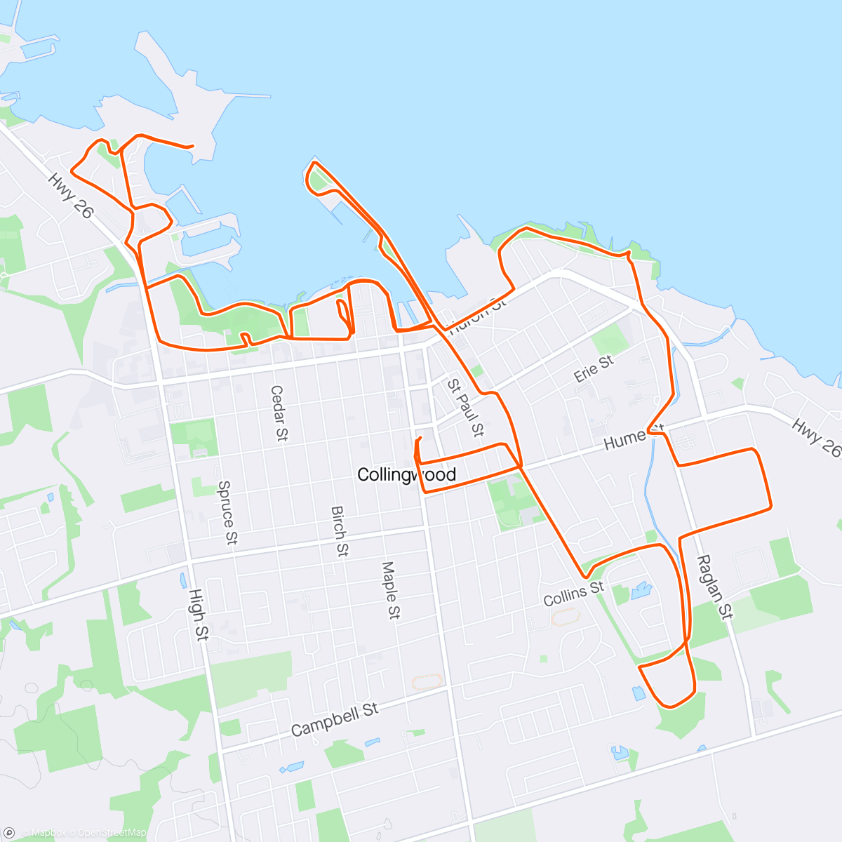 Map of the activity, C’wood Shoreline Loop - 25 July 2024/Collingwood, Canada ☀️