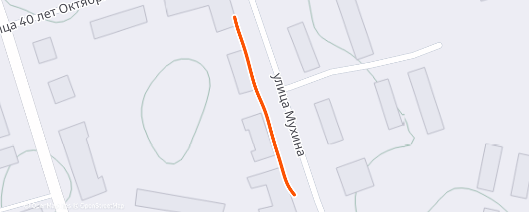 Карта физической активности (Дневной забег)