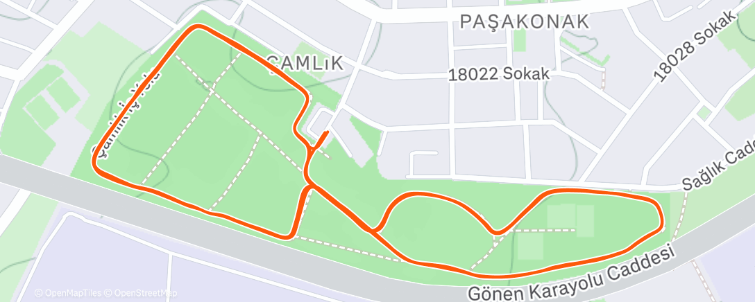 Map of the activity, Evening Run