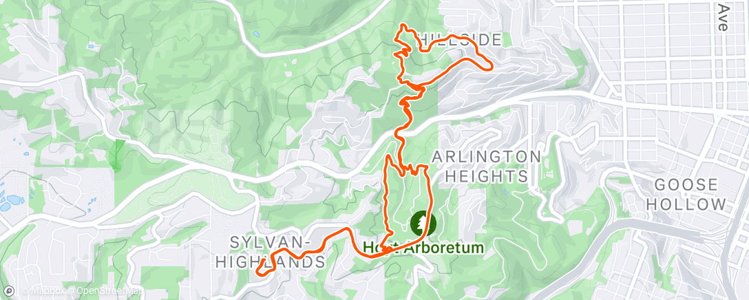 Mapa de la actividad (Morning Trail Run)