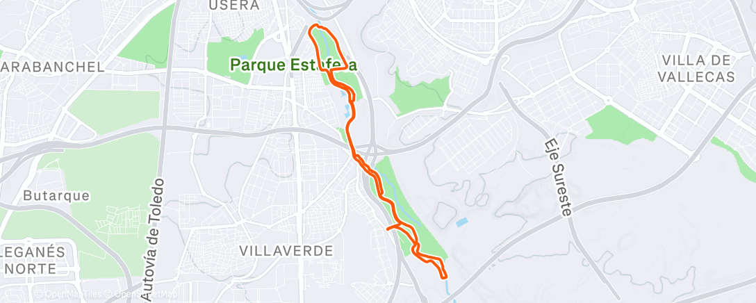 Карта физической активности (GA + 10x100m Strides - Morning Run - Madrid)