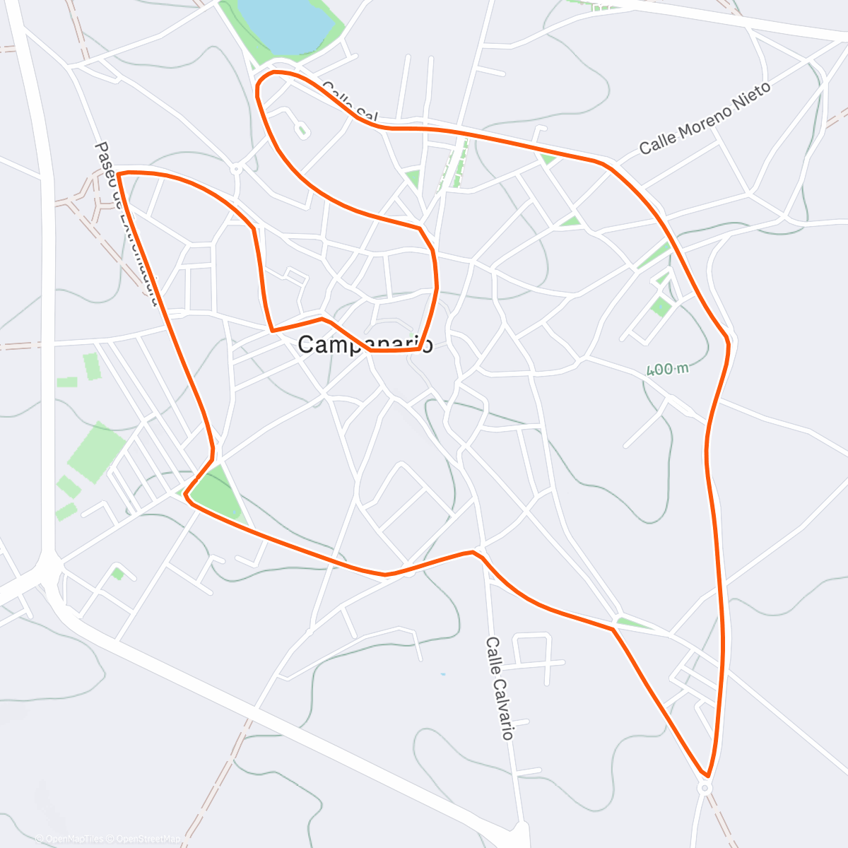 Карта физической активности (XI San Silvestre Campanario 2025)