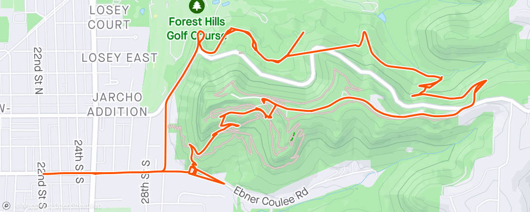 Map of the activity, Morning 🏃🏻‍♂️  🌲 ☀️