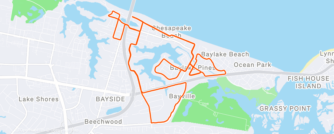 Map of the activity, Night Run