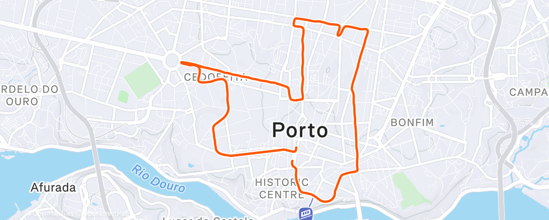 Карта физической активности (São Silvestre do Porto 🎉🏃‍♀️🍾🥳)