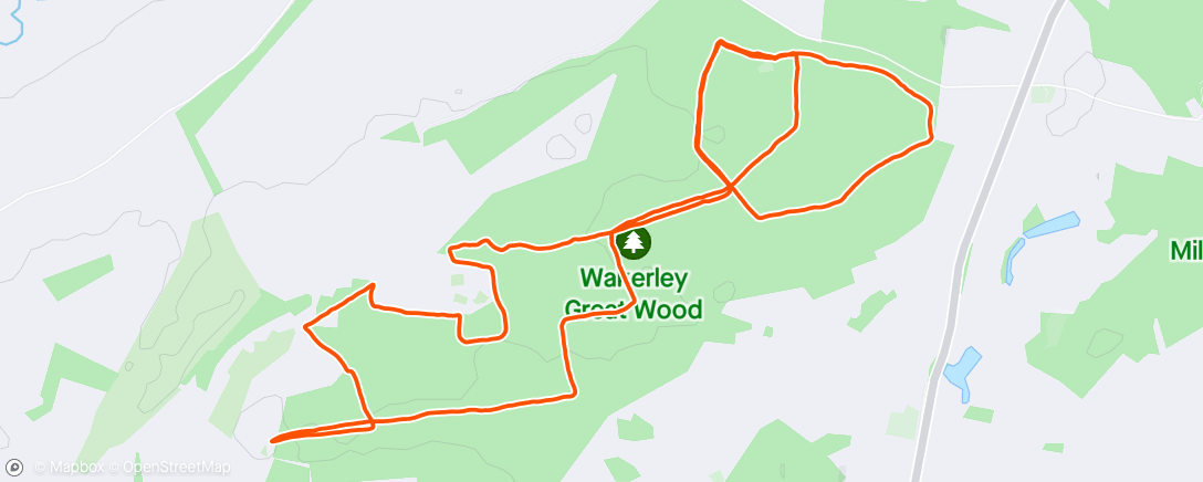Map of the activity, Wakerley Great Wood