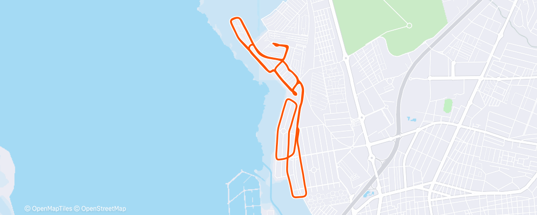 Карта физической активности (Morning Trail Run)