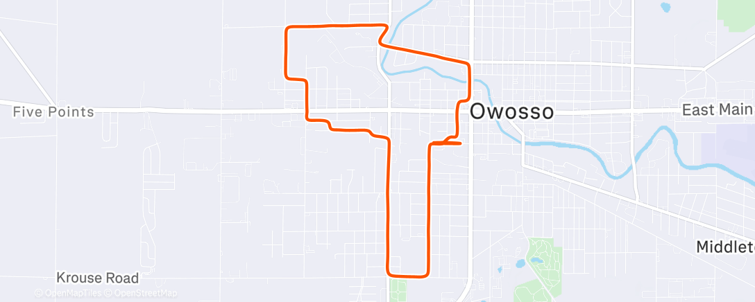 Карта физической активности (Only 5.1)