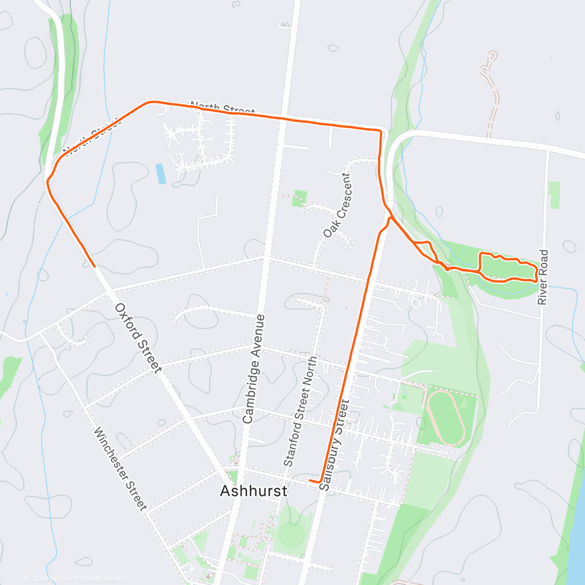 Mappa dell'attività Dodging fallen trees