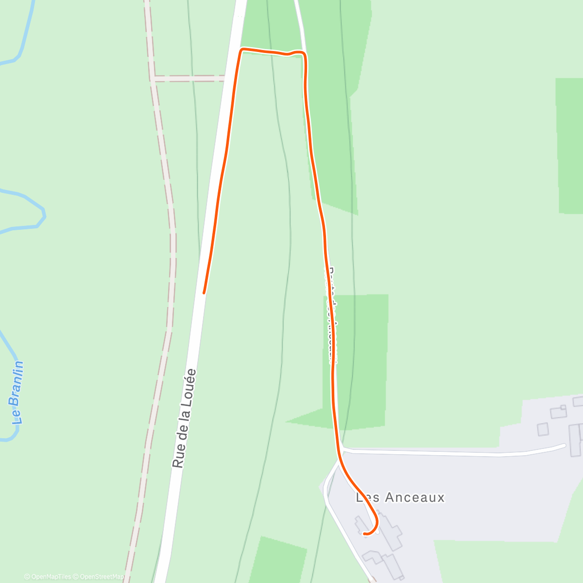 Карта физической активности (Cut that cool down short🤷🏼‍♀️)