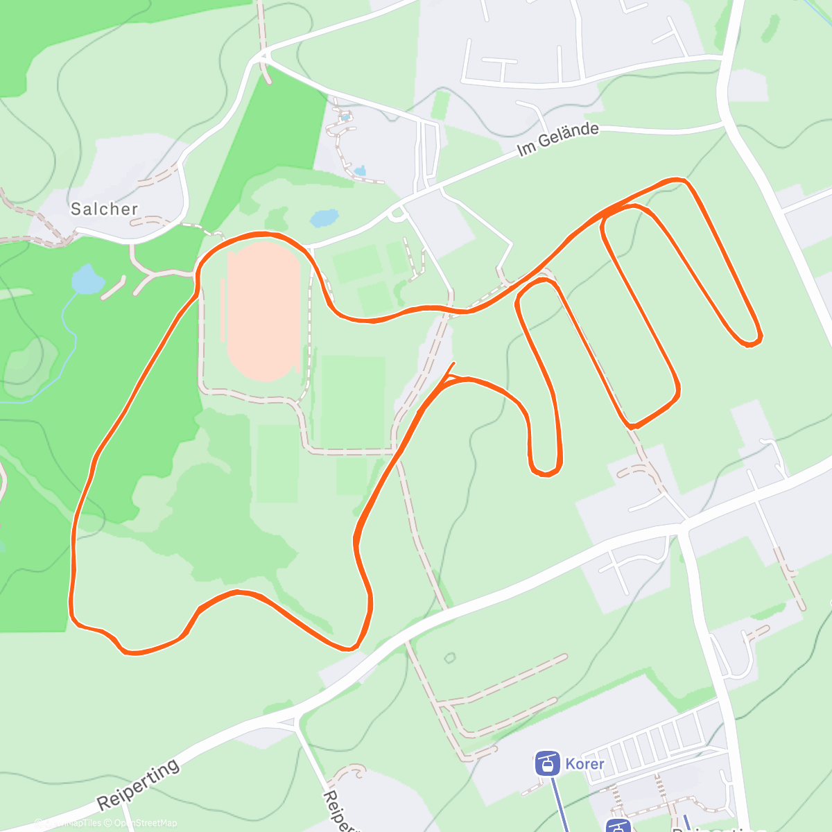 Карта физической активности (Last skate❄️🤗)