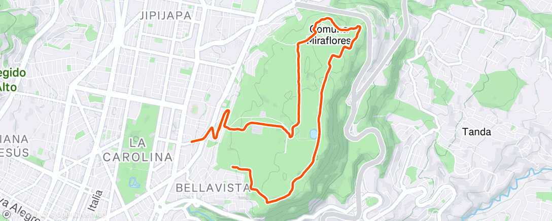 Map of the activity, Morning Trail Run