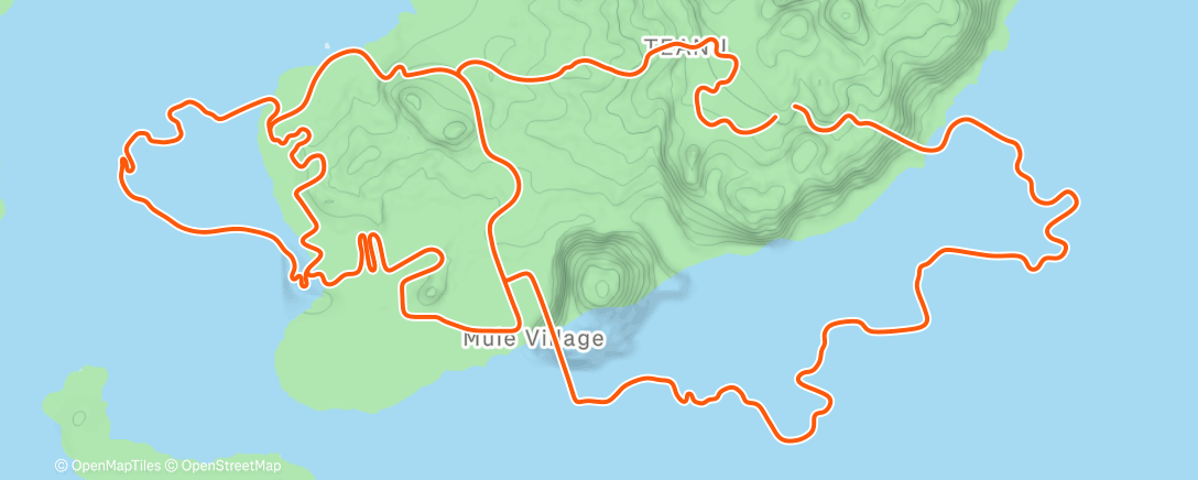 Карта физической активности (Zwift - Triple Flat Loops in Watopia)