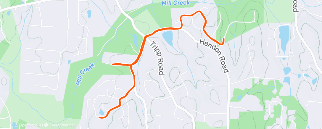 Карта физической активности (Morning Walk)