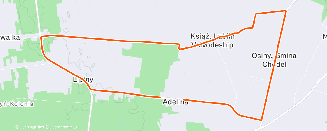 Карта физической активности (Afternoon Run)