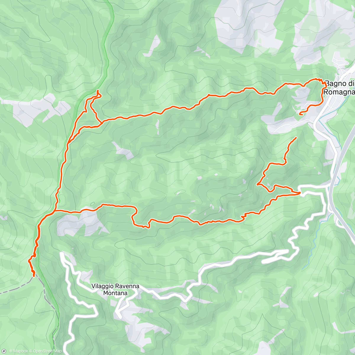 Mappa dell'attività Morning Trail Run