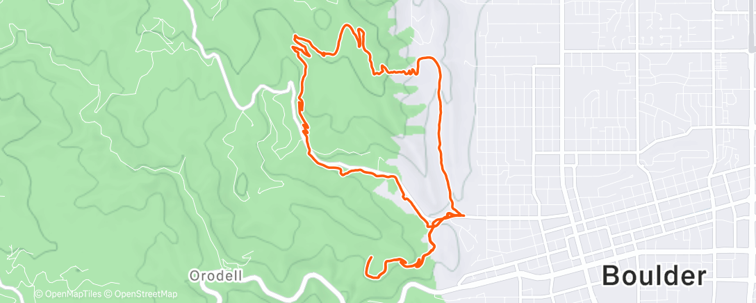 Map of the activity, Sic ‘em bears