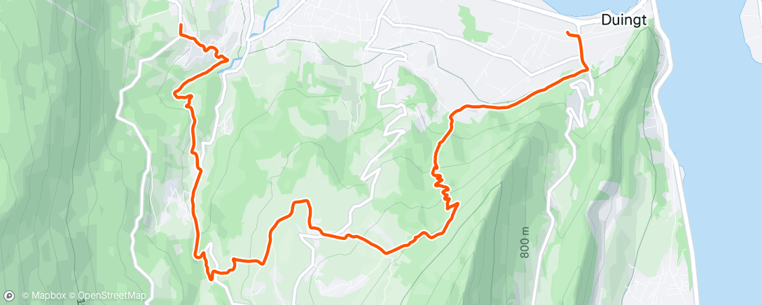 Map of the activity, Le foie est encore gras...