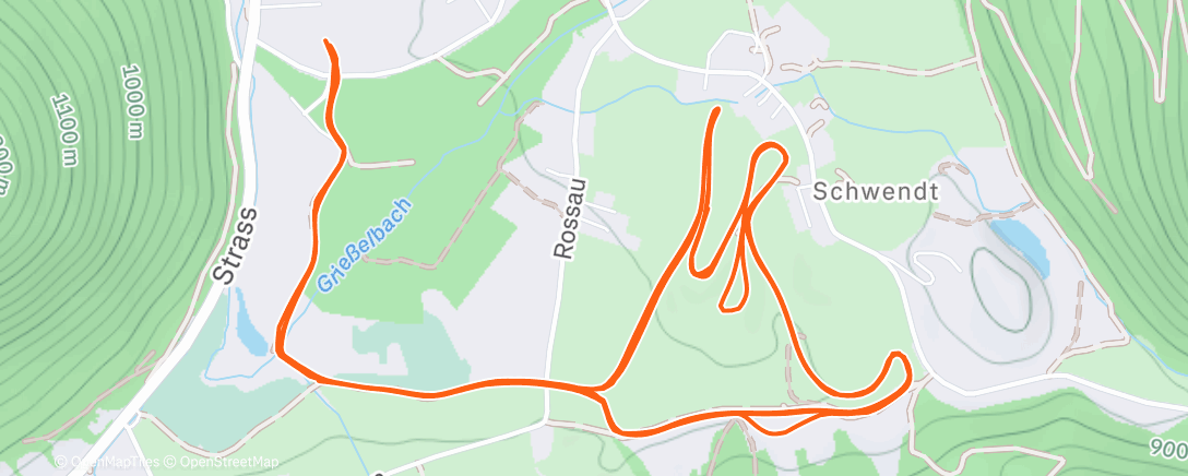 Карта физической активности (Short Ski session)