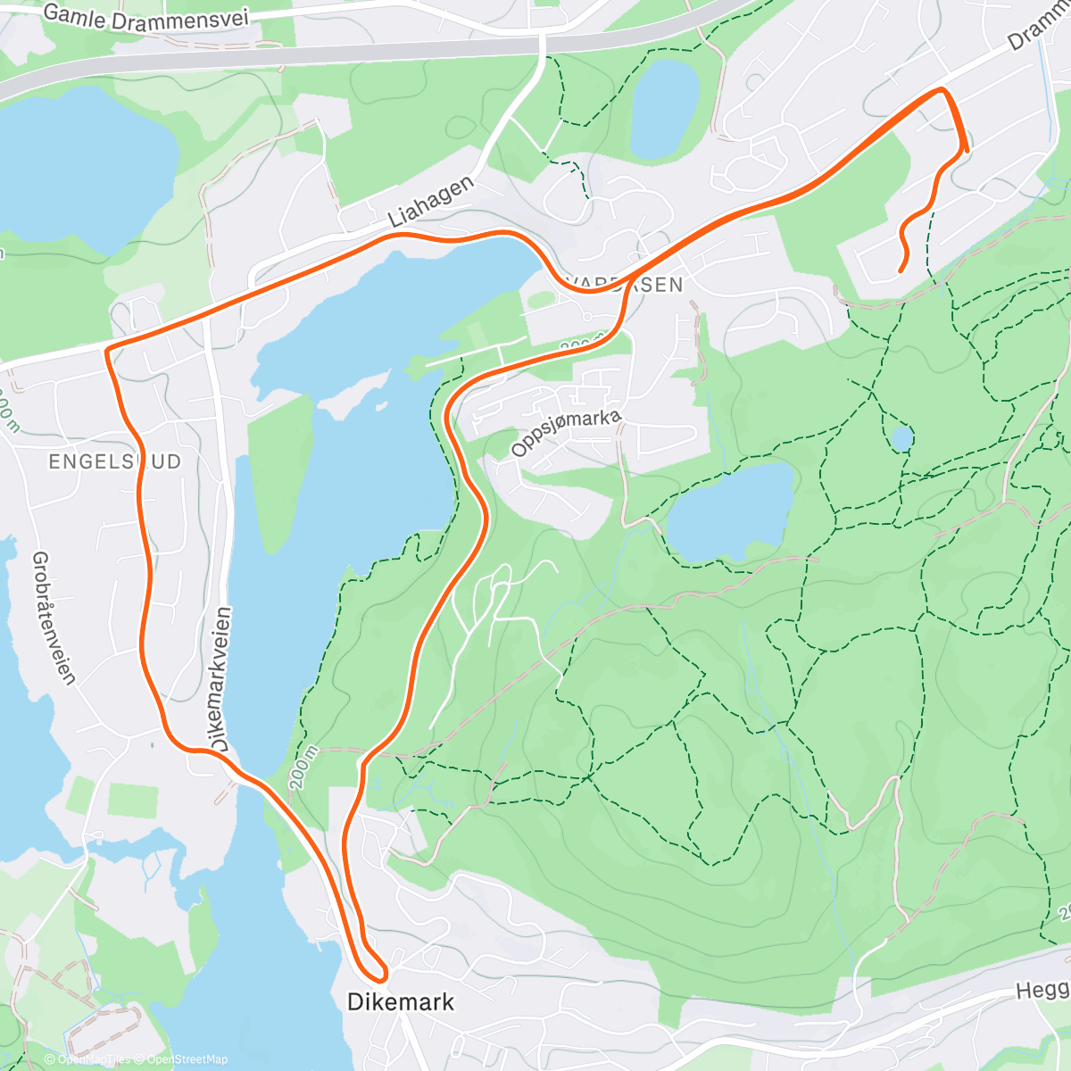 Map of the activity, Nyttårsjogg🎉🍾🎉