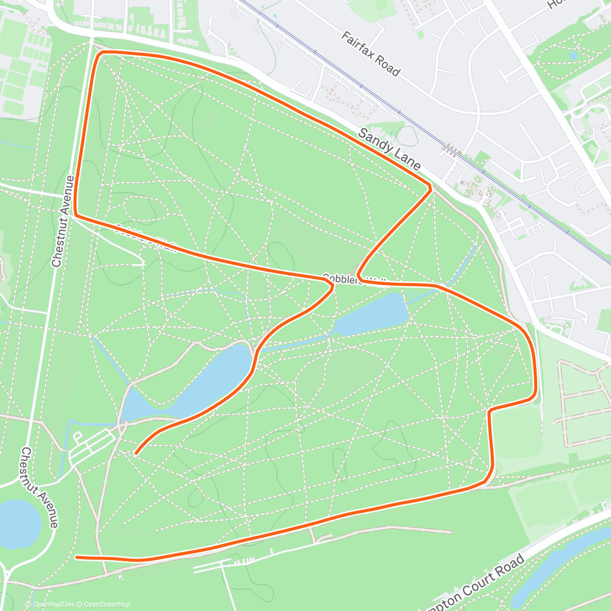 Map of the activity, Merry parkrunday