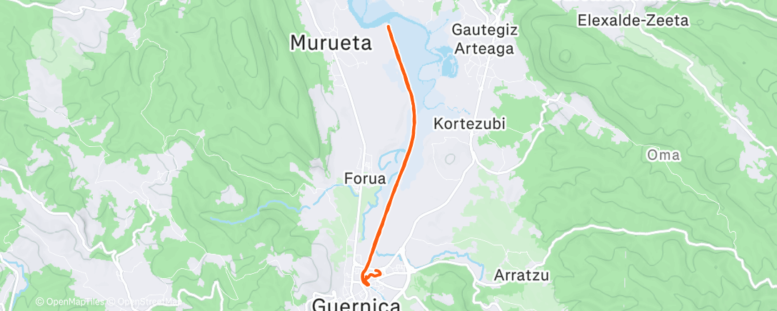 Map of the activity, Morning Run