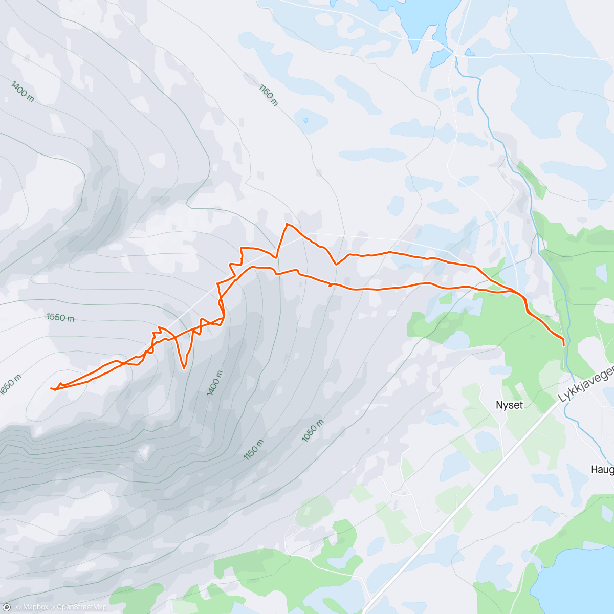 Map of the activity, Skogshorn i cruise-pow, dog flatt lys