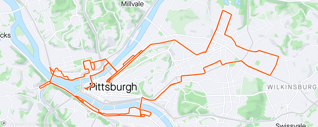 Map of the activity, Pittsburgh marathon Marshalling