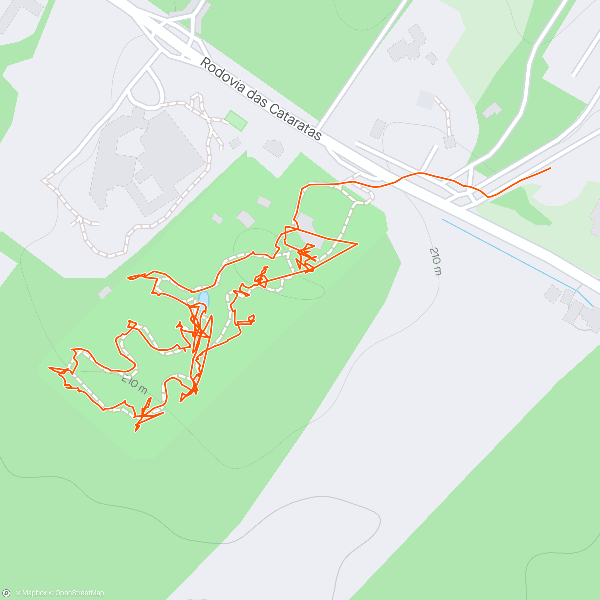 Карта физической активности (Morning Walk at bird sanctuary)