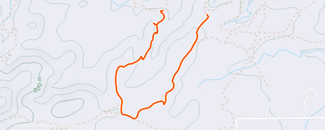 Карта физической активности (Cousins walk)