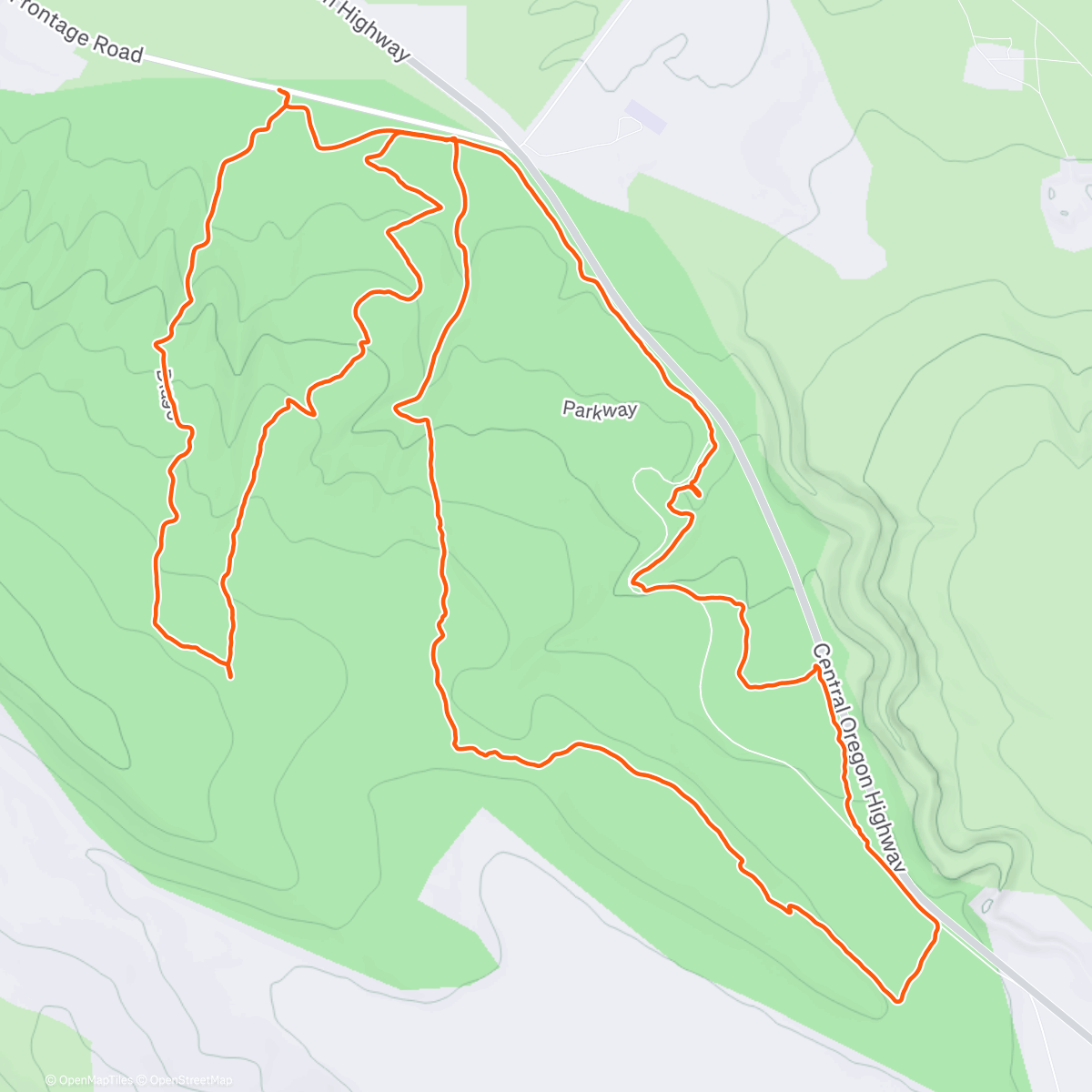Map of the activity, Tacky