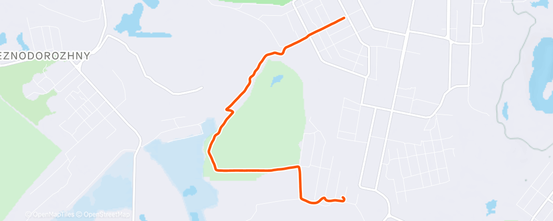 Карта физической активности (Дневной забег)