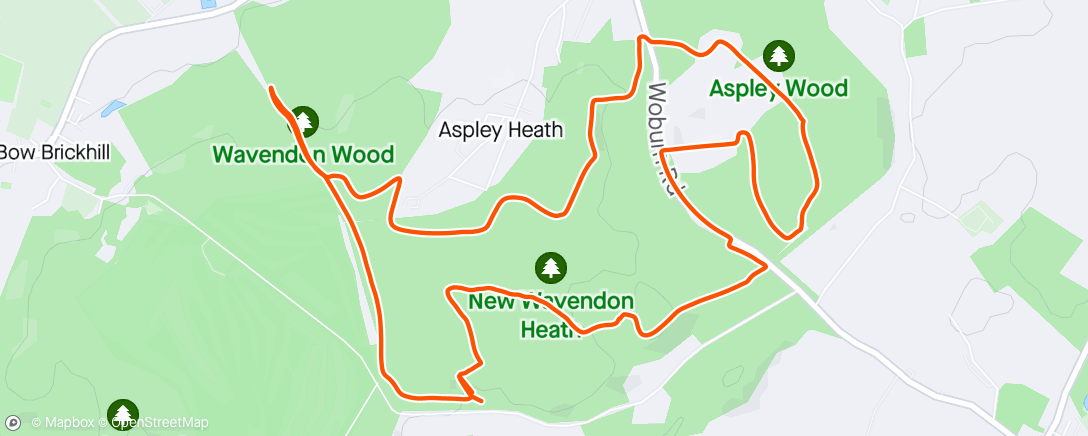 Mapa da atividade, Unplanned trail in Aspley Woods