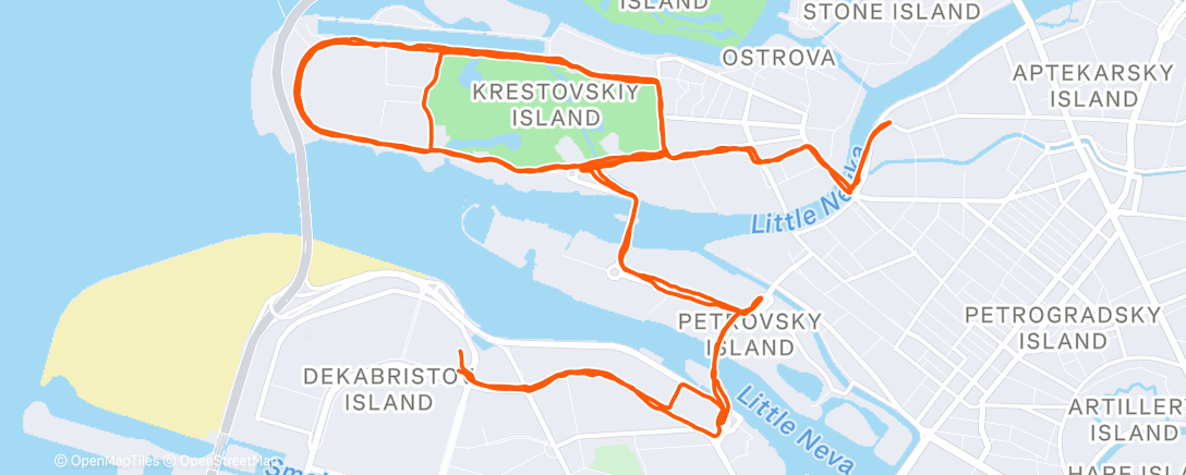 Карта физической активности (Утренний забег)