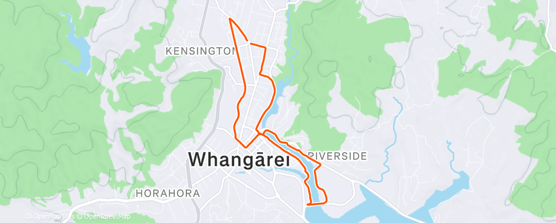 Map of the activity, Lonestar Loop with Em 💞