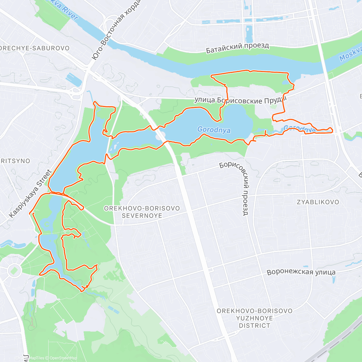 Map of the activity, Динамо Бежит лонгран в Царицыно