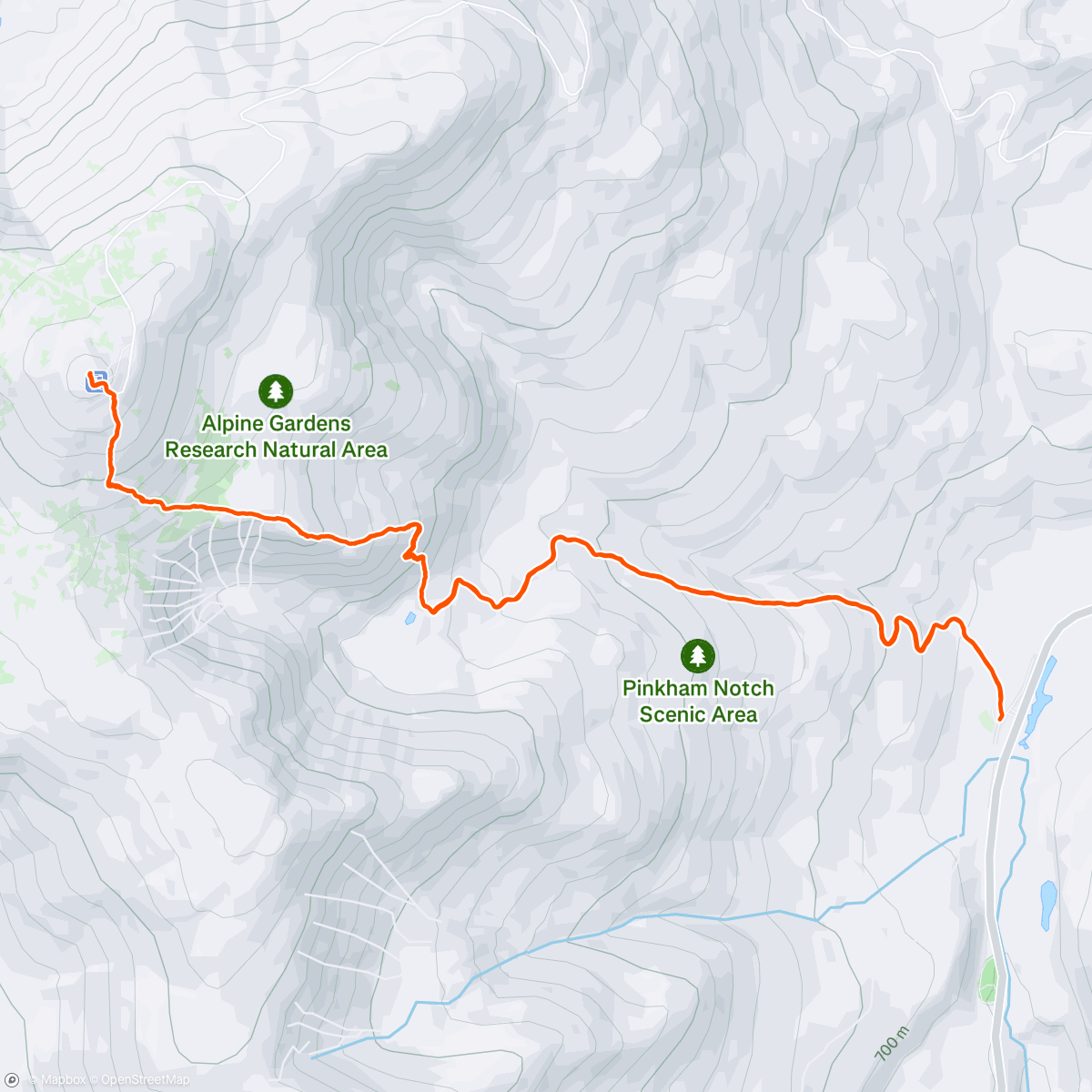 Map of the activity, Highest Tree In New England