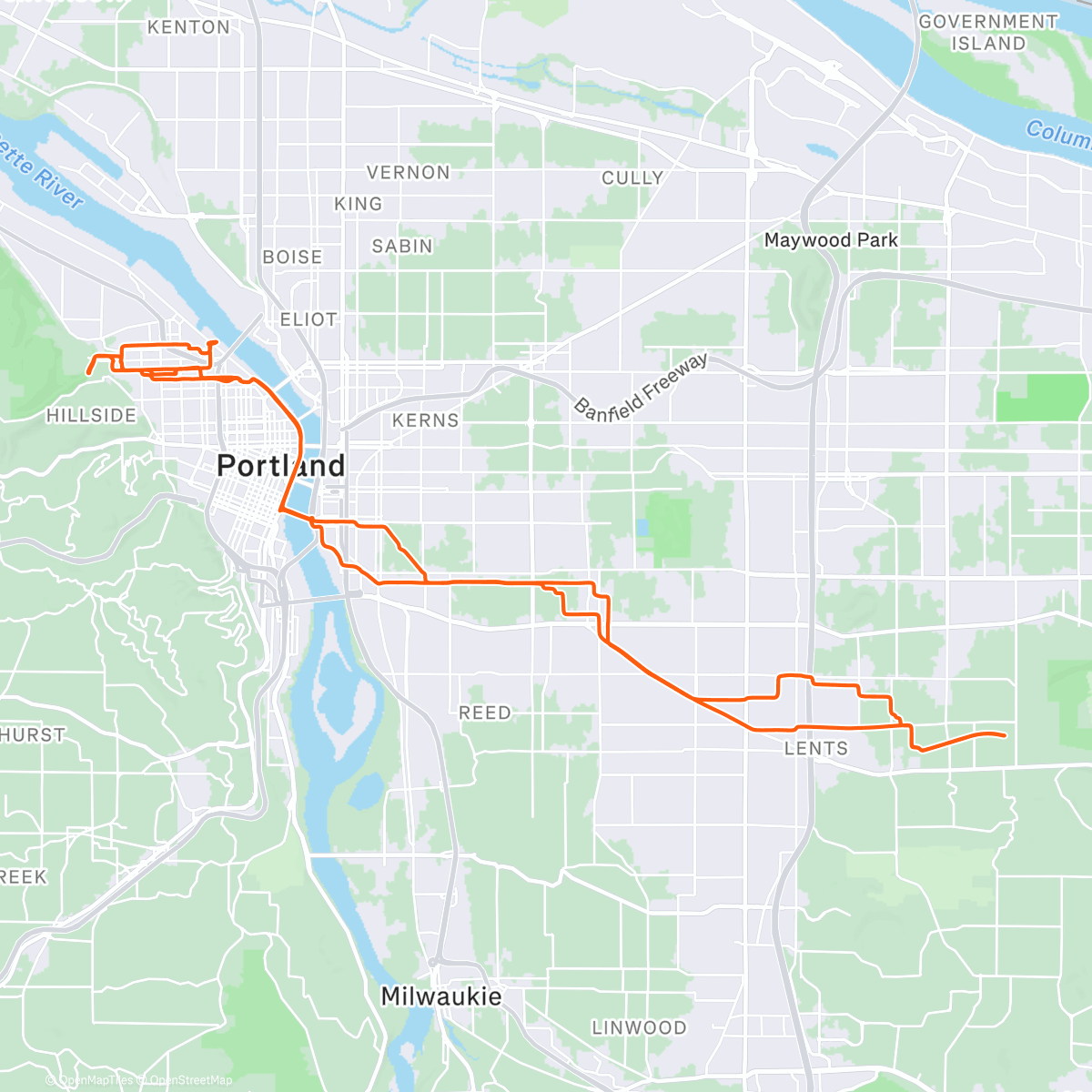 Map of the activity, Shock Therapy